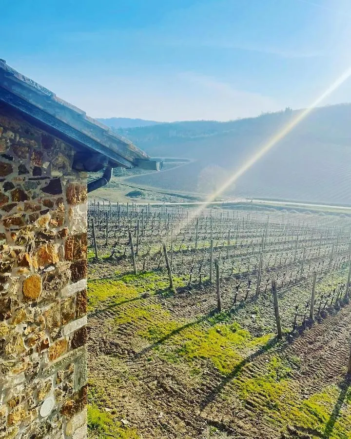 Locanda Podere Le Vigne Radda In Chianti Hotel